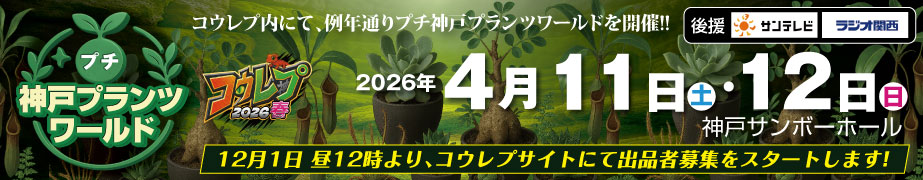 プチ神戸プランツワールド告知