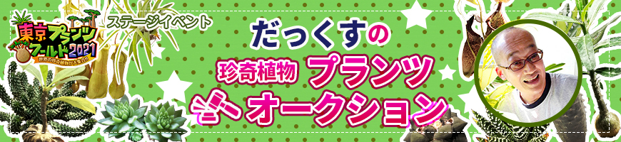 イベント情報 東京プランツワールド 世界の珍奇植物大集合