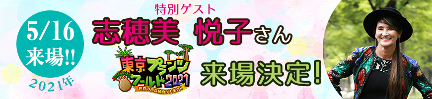 東京プランツワールド 世界の珍奇植物大集合