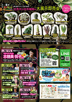 東京プランツワールド 世界の珍奇植物大集合